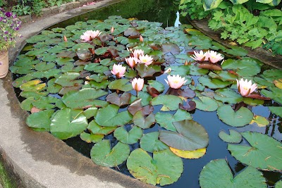 Photos of The garden in Hune