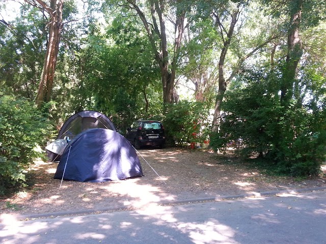 Camping du Pont d'Avignon **** - Aquadis Loisirs