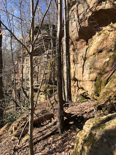 The Retreat at Longbow Gallery - United States