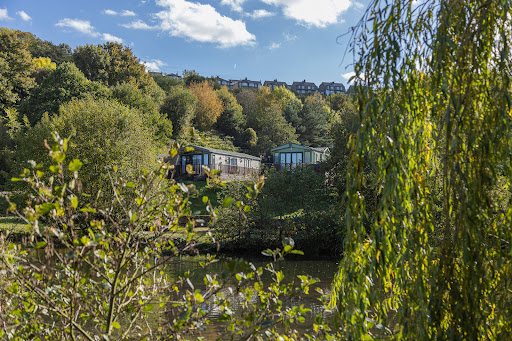 Bronte Country Park - Yorkshire - Thumbnail