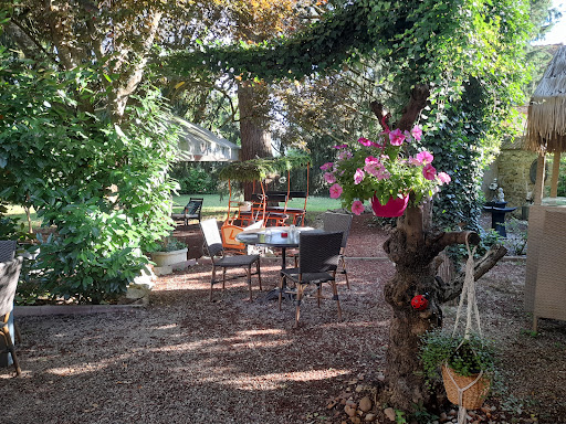 Photo 7 - La Matrone Bornée
