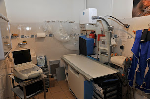 Photo n°1 de Clinique Vétérinaire des Dr Thierry & Evelyne GODAT & MASSON Elodie à Montesson (Clinique vétérinaire)