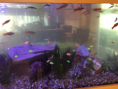 Aquarium Management Systems