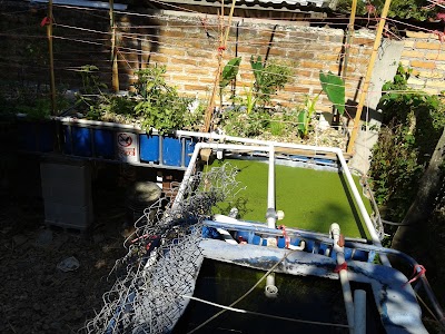 Photos of Crimson Aquaponics Honduras