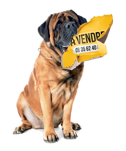jv services - Visual