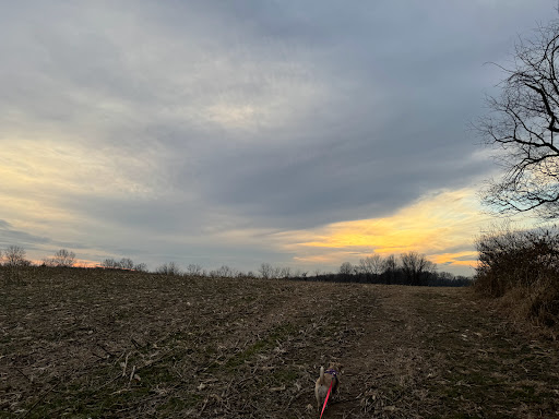 Bray's Hill Preserve - Thumbnail