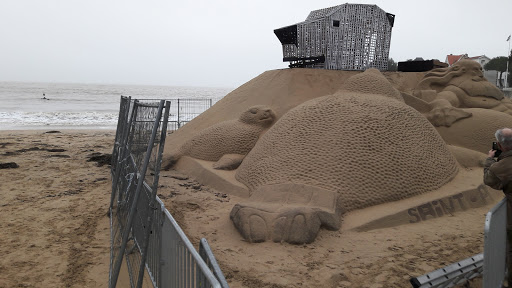 Office de tourisme Saint-Palais-sur-Mer - Royan Atlantique - Thumbnail