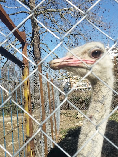 Zoological Park of Tirana