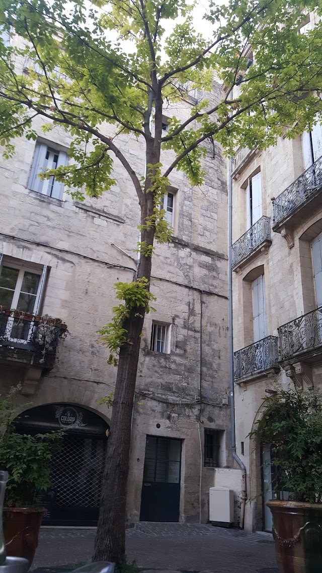LE CABANON