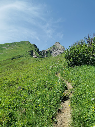 Älplesattel - Visual