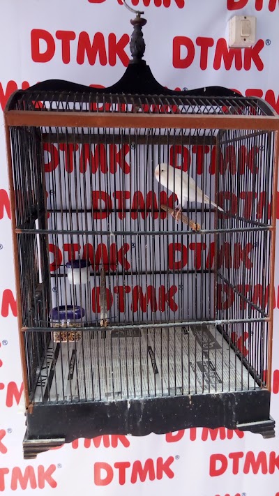 Photos of DTMK