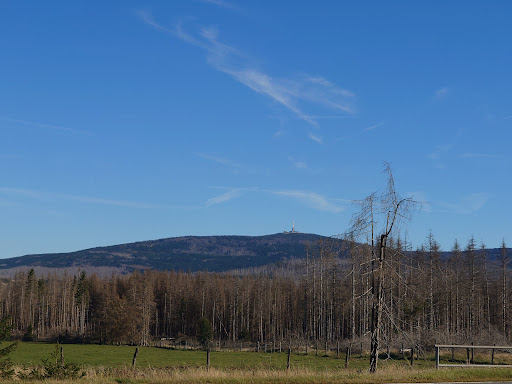 Oberharz - Thumbnail