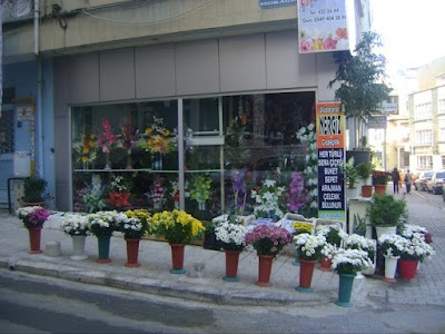 Photos of Petunya Cicekcilik