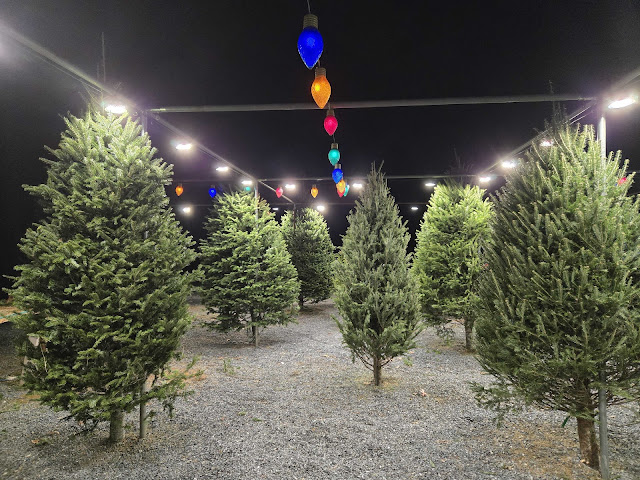 The Happy Seed Company by null