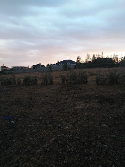 Photos of Pedestar Complex