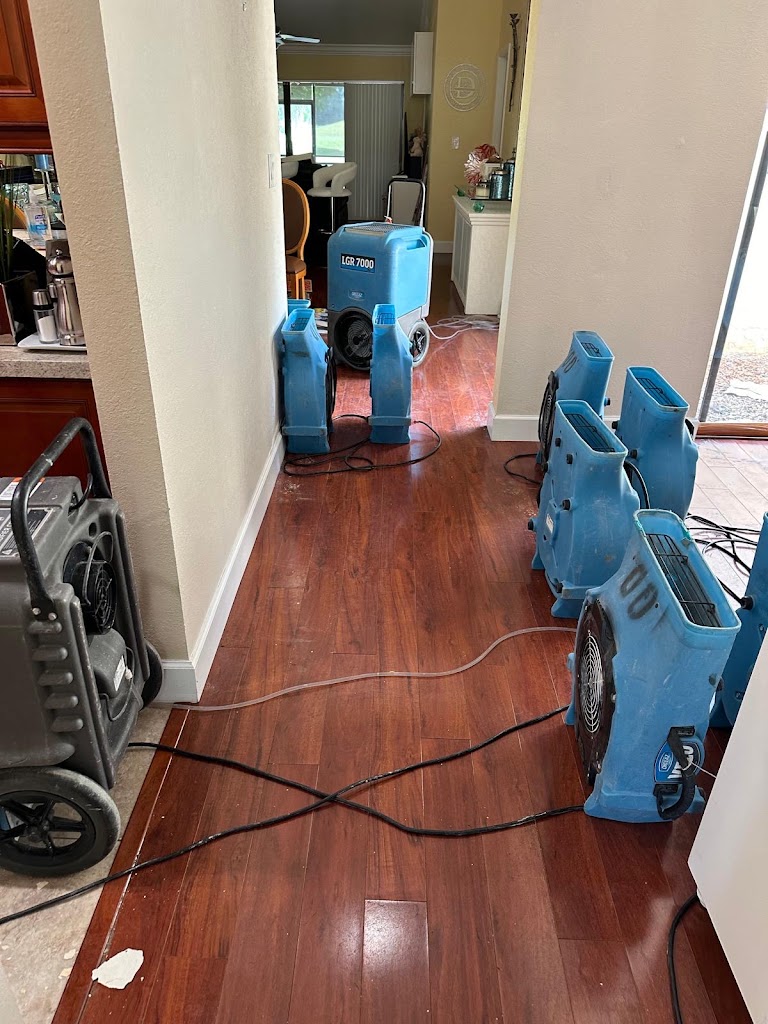 QuickDry Restoration Coral Springs photo