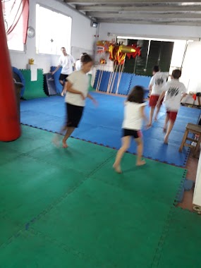 Centro De Estudios De Artes Marciales Dong Long, Author: gustavo long