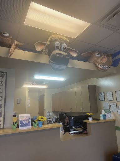 Lone Star Pediatric Dental & Braces - Kyle - Thumbnail