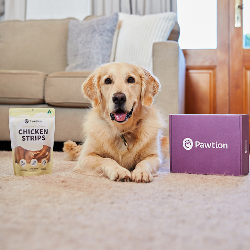 Pawtion - Thumbnail