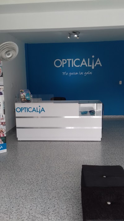 Photos of Opticalia