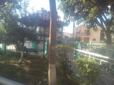 school