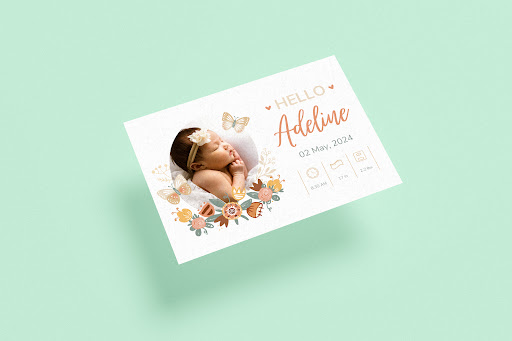 Vaise Services Plans