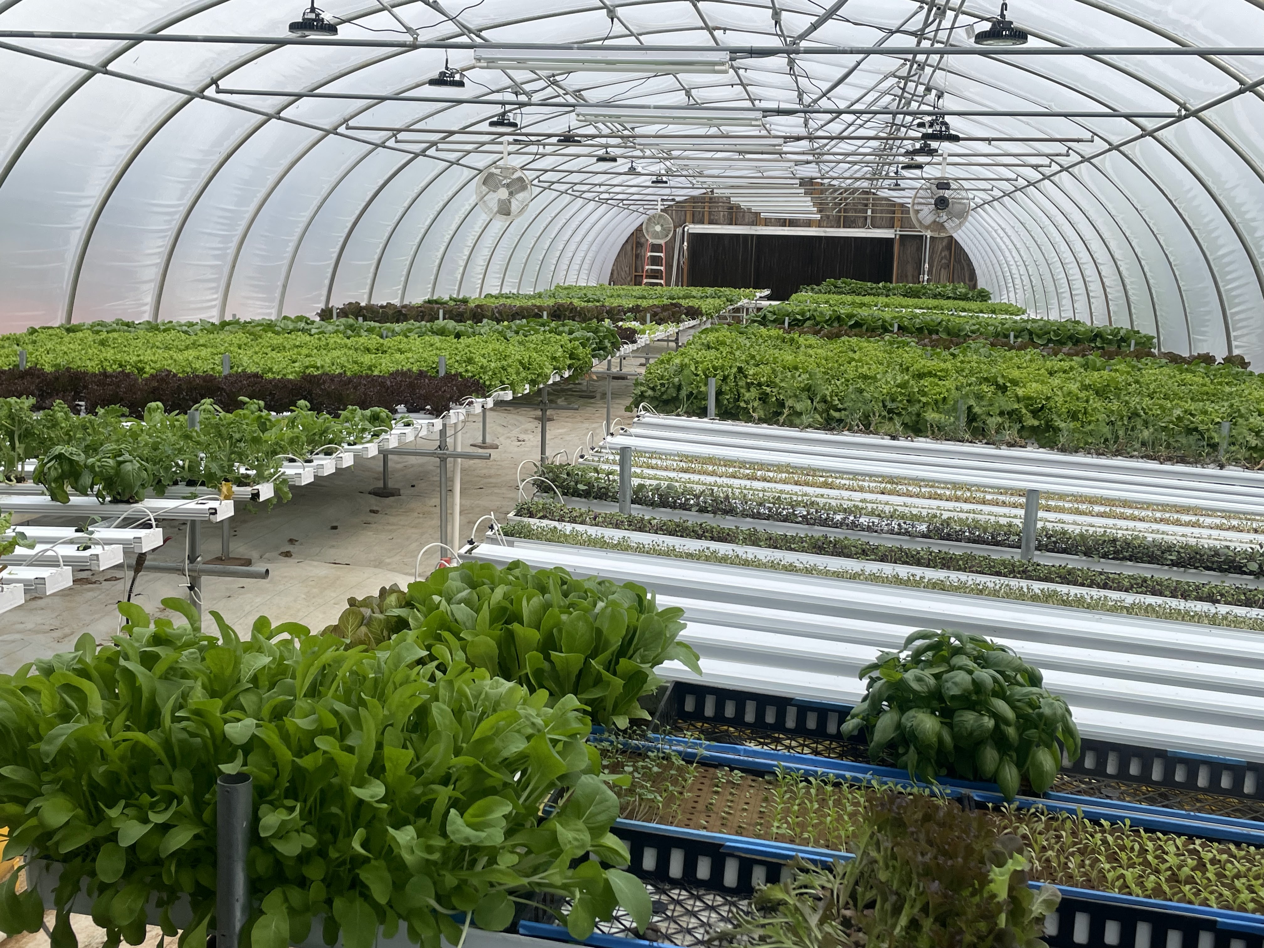 Anders Family Farm