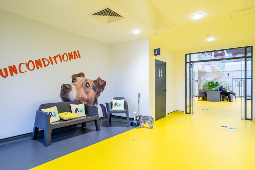 The Ralph Veterinary Referral Centre Gallery - United Kingdom