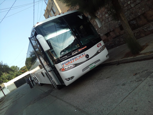 RENTA DE AUTOBUSES PUREPECHAS - Thumbnail