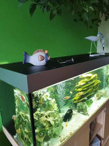 Jeko-Aquaristik - Thumbnail