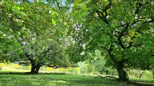 Albtrauf Pfullingen Gallery - Germany