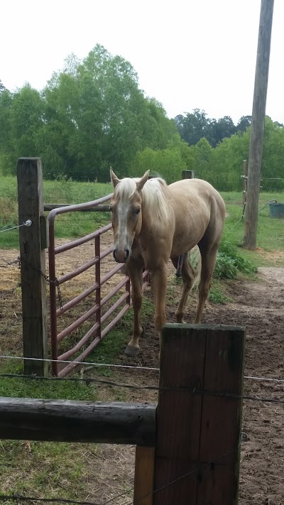 Bar-J Ranch