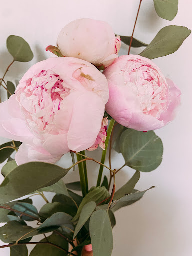 Treat Flower Farm - Thumbnail