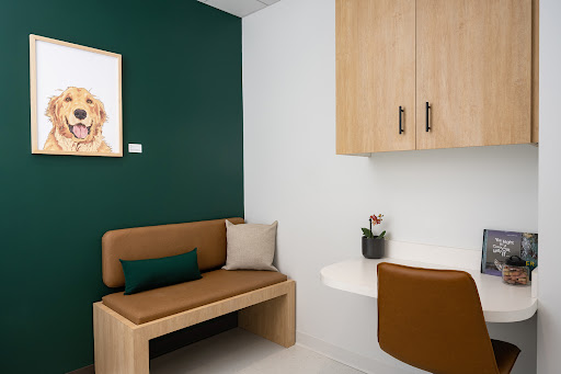 Scout Veterinary Care