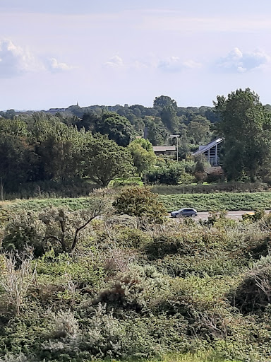 Duinen van Goeree - Thumbnail