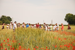 Photo n°6 de Bio en Normandie à Val-de-Reuil (Maraîcher)