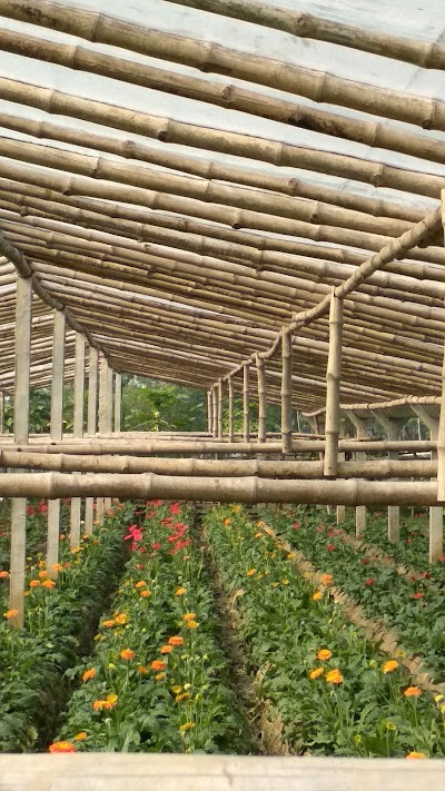 Photos of Godkhali Flower Garden