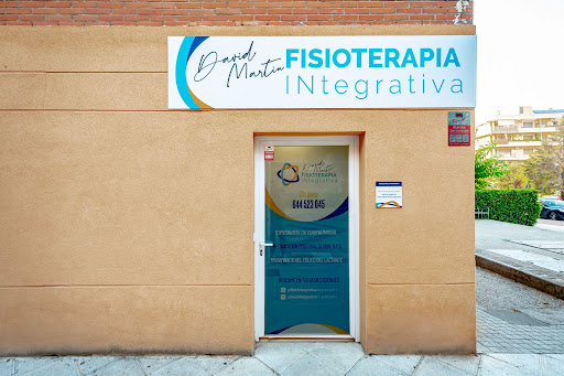 Fisioterapia Integrativa David Martín - Thumbnail