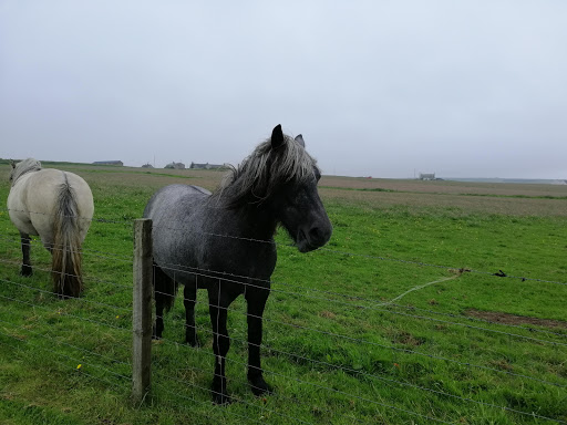 Caithness Broch Centre - Thumbnail
