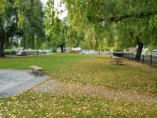 Ferry Park - Visual