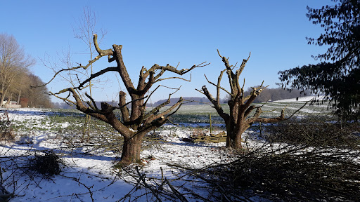 Photo de Jardin Blanc à Saint-Hilaire-du-Rosier (38840)