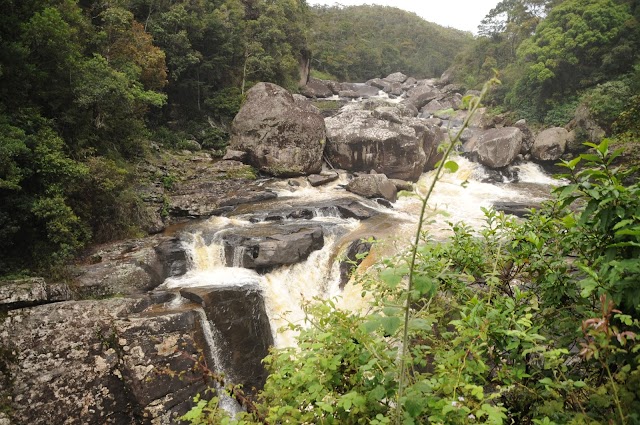 Parc national de Ranomafana