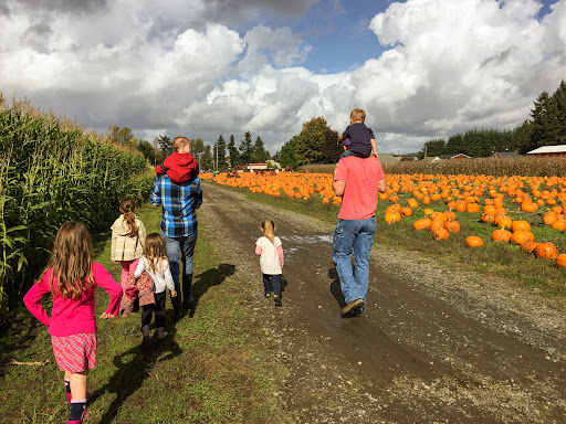 Discover Lewis County - Thumbnail