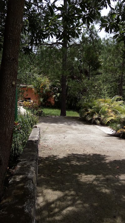 Photos of Jardines Santa Lucia