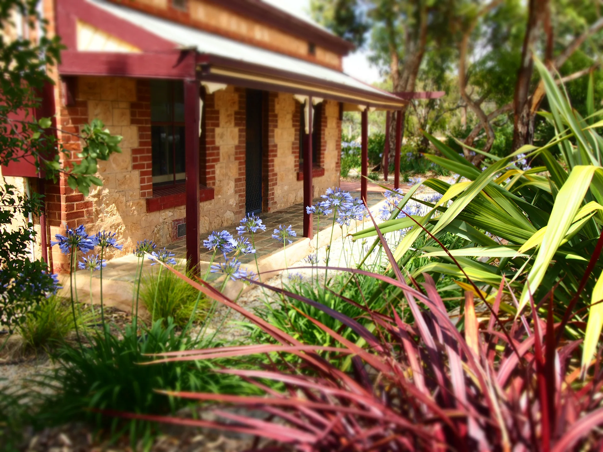 The Creek Cottage Bed and Breakfast