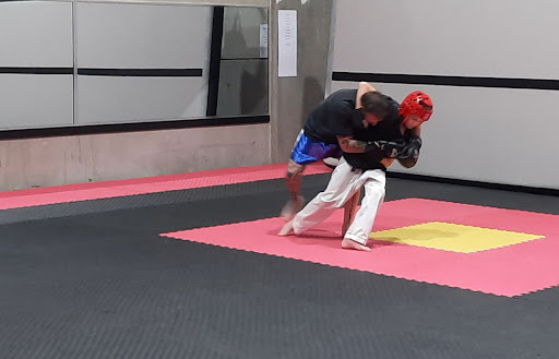 Yasashi Geijutsu