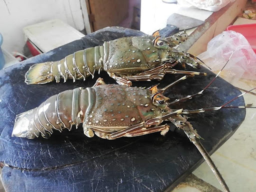 Restaurant Kevin - Thumbnail