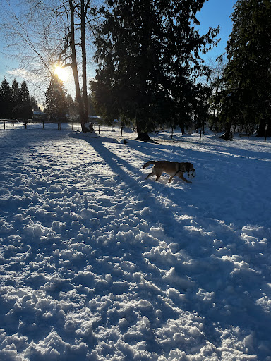 North Bonson Park - Thumbnail
