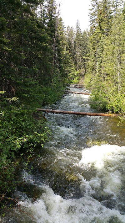 Blodgett Campground