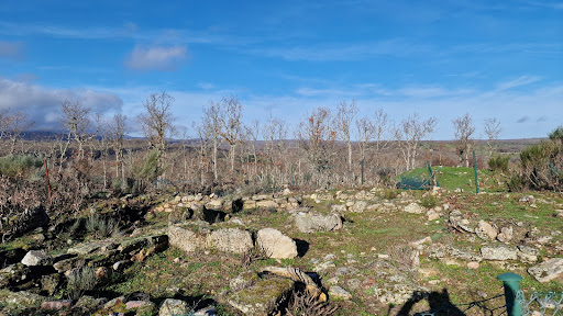 Yacimiento visigodo de Monte El Alcaide